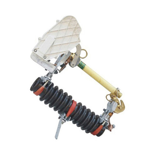Rw10-10F 10KV